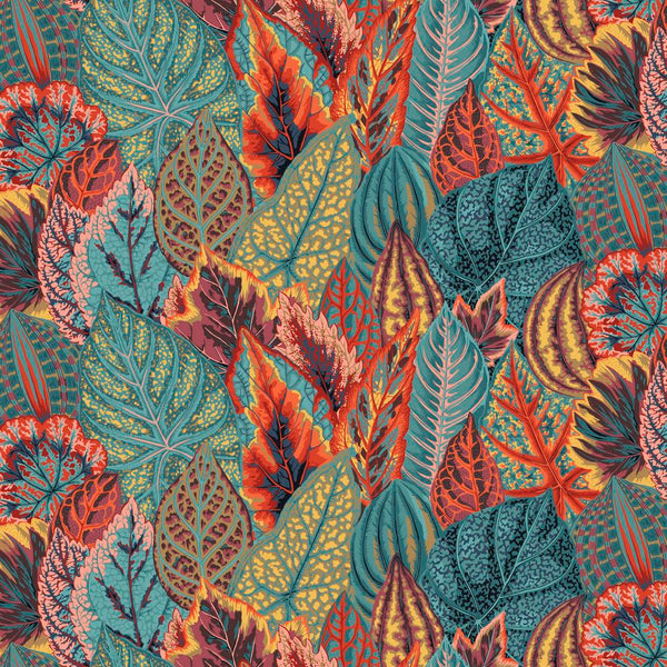 Philip Jacobs : Coleus in Teal : Free Spirit