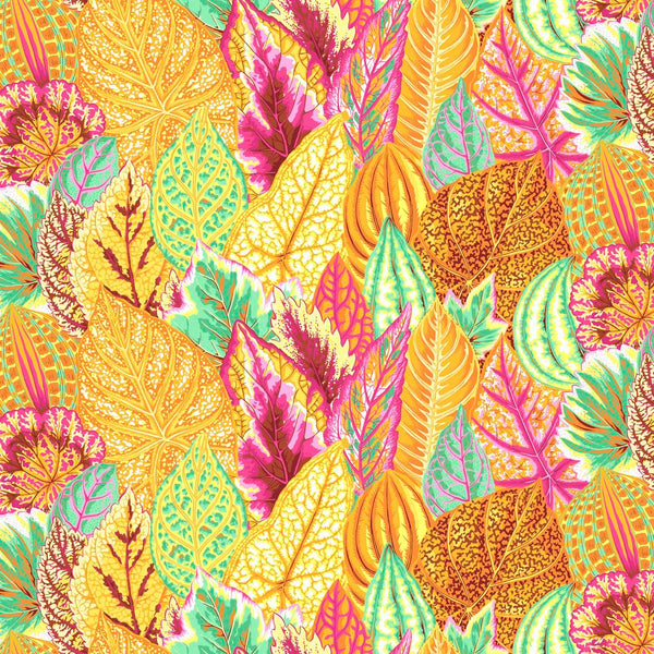 Philip Jacobs : Coleus in Yellow : Free Spirit