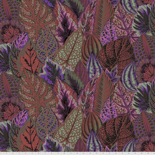 Philip Jacobs : Coleus in Dark : Free Spirit