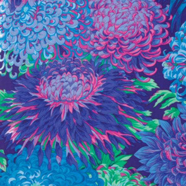 Philip Jacobs : Japanese Chrysanthemum in Blue : Free Spirit