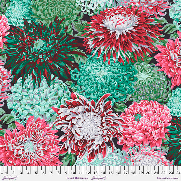 Philip Jacobs : Japanese Chrysanthemum in Blush : Free Spirit