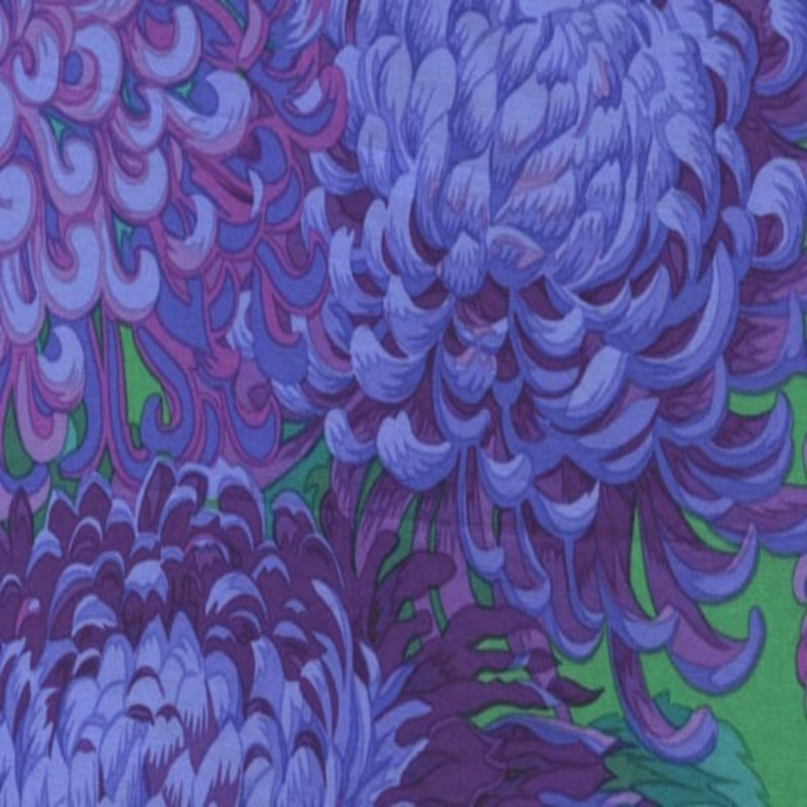 Phillip Jacobs : Japanese Chrysanthemum in Purple : Free Spirit