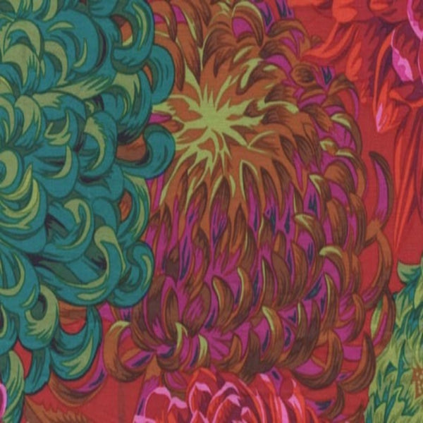 Philip Jacobs : Japanese Chrysanthemum in Scarlet : Free Spirit