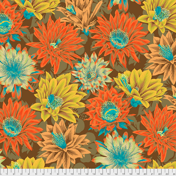 Philip Jacobs : Cactus Flower in Brown : Free Spirit