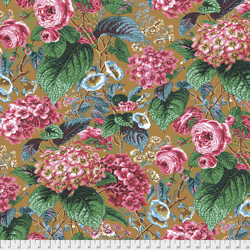 Philip Jacobs : Rose and Hydrangea in Ochre : Free Spirit