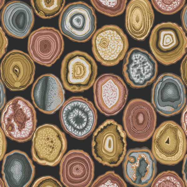 Philip Jacobs : Geodes in Charcoal : Free Spirit