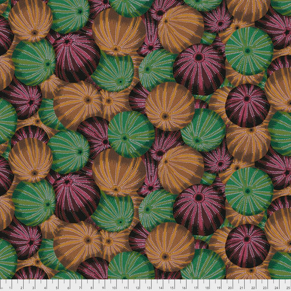 Philip Jacobs : Sea Urchins in Antique : Free Spirit