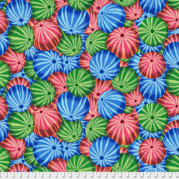 Philip Jacobs : Sea Urchins in Multi : Free Spirit