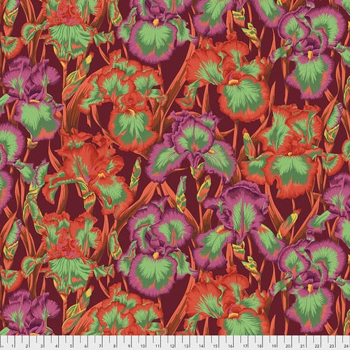 Philip Jacobs : Bearded Iris in Red : Free Spirit