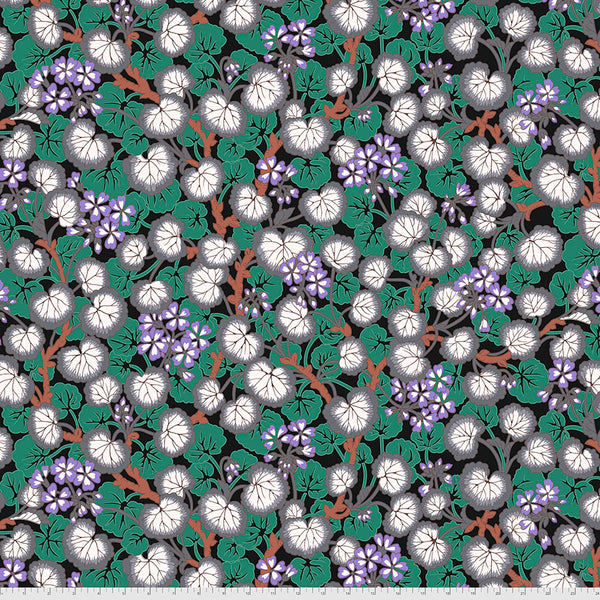 Philip Jacobs : Climbing Geraniums in Black : Free Spirit