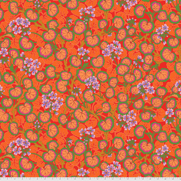 Philip Jacobs : Climbing Geraniums in Red : Free Spirit