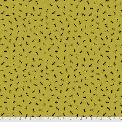 Forest Floor by Rachel Hauer : Dancing Ants : Free Spirit