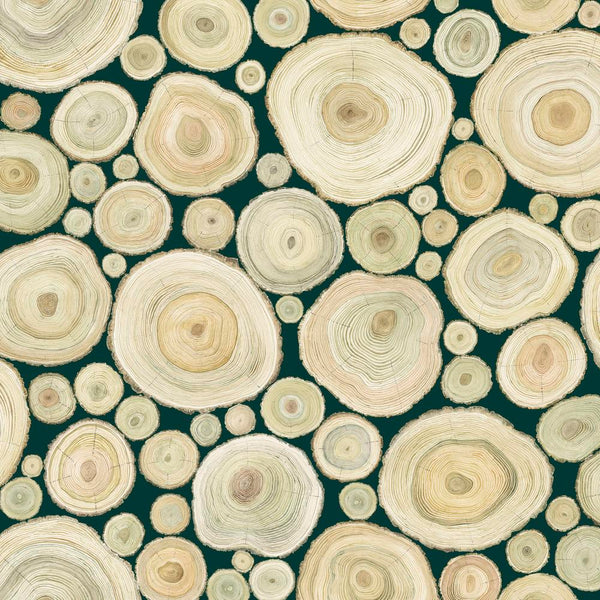 Woodland Blooms by Sanderson : Alnwick Logs in Forest : Free Spirit
