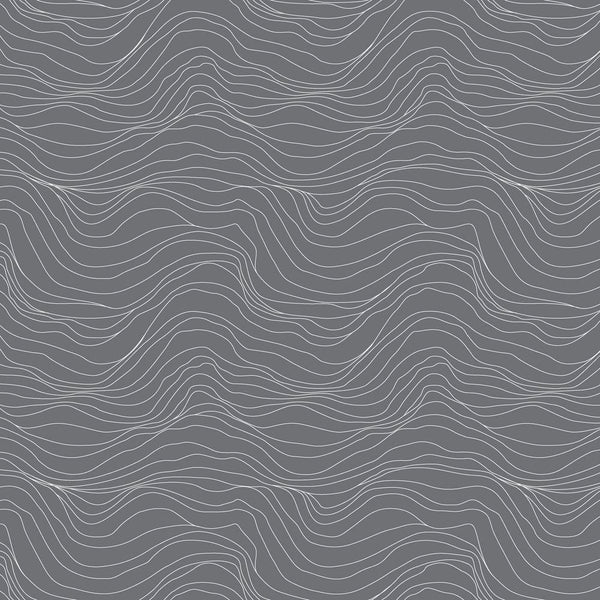 Natural Affinity by Shell Rummel : Terrain in Fossil : Free Spirit