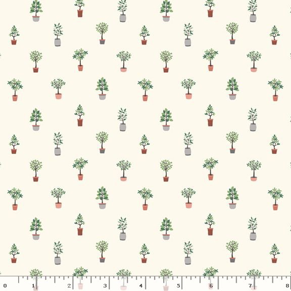 By Laura Berringer : R210317D Vanilla : Marcus Brothers