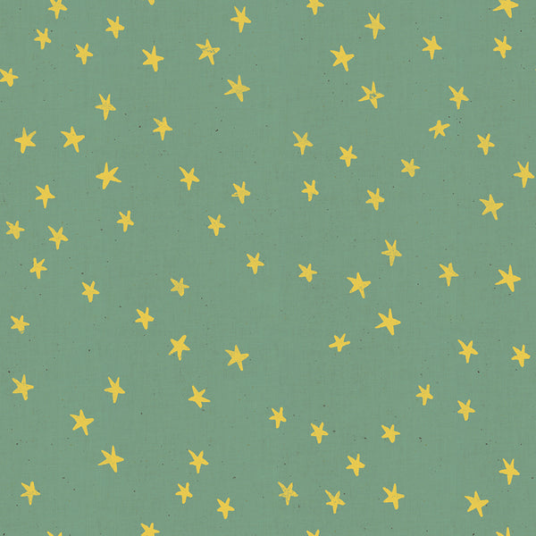 Starry by Alexia Abegg : Soft Aqua : Ruby Star Society