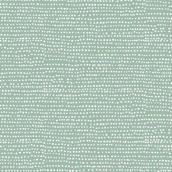 Moonscape in Lagoon : Dear Stella