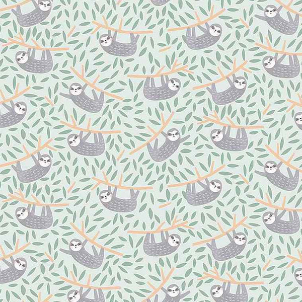 Hanging in There in Mist : Dear Stella