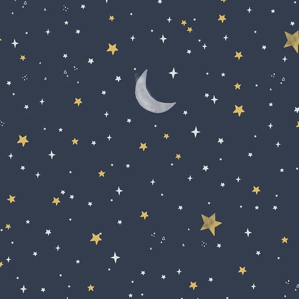 Koala Me Crazy : Night Sky in Midnight : Dear Stella