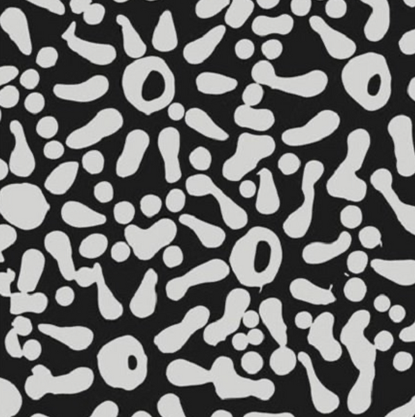 Waterhole & Seeds in Black by Anna Pitjara : M & S Textiles