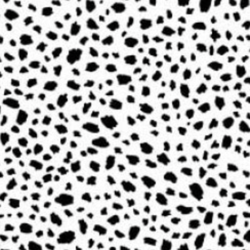 Bow Wow Wow : Happy Spots in White : Michael Miller