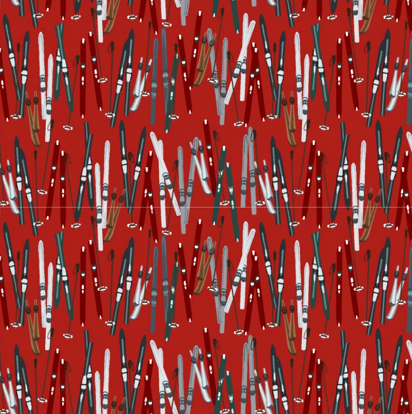Alpine Ski : Lined Up Skis in Red : 3 Wishes