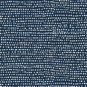 Moonscape in Eclipse : Dear Stella