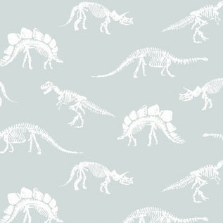 Fossils in Splash : Dear Stella