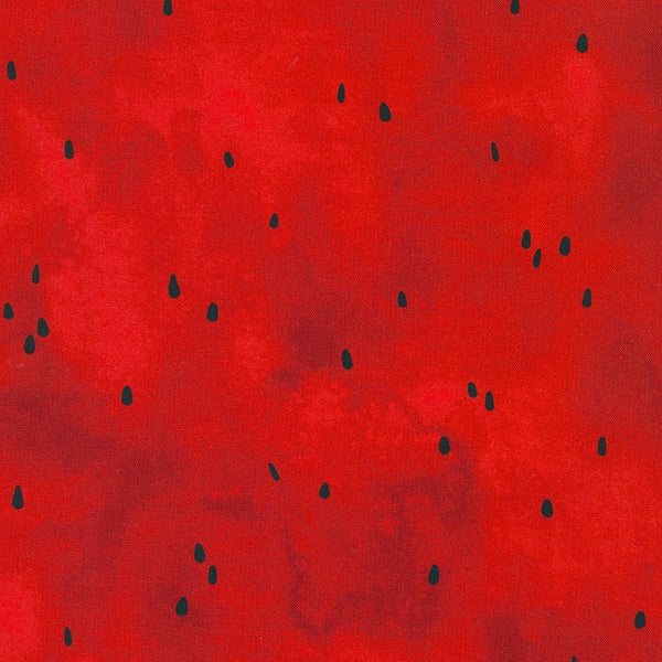 Wishwell: Sweetness by Vanessa Lillrose & Linda Fitch : WEL-21263-397 Ladybug : Robert Kaufman