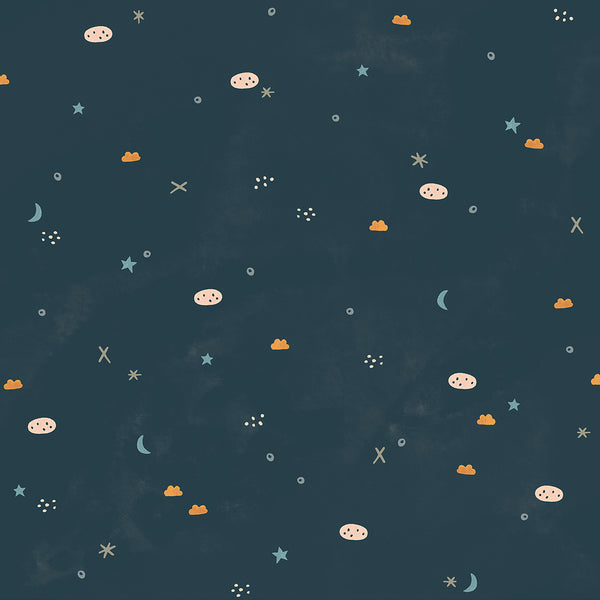 Dear Friends by Alijt Emmens : Stargazing in Navy : Cotton and Steel