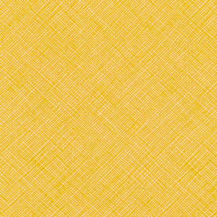 Architextures by Carolyn Friedlander : afr-13503-371 : Robert Kaufman