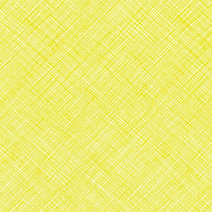 Architextures by Carolyn Friedlander : afr-13503-386 : Robert Kaufman