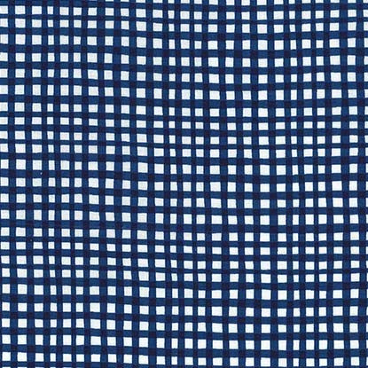 Basics : Gingham Play in Cadet : Michael Miller