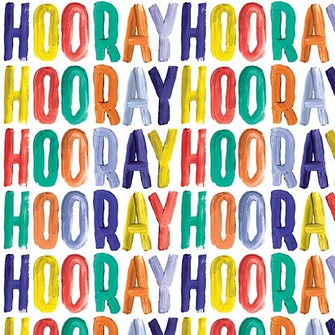 Ink Unleashed : Hooray Hooray Hooray : Michael Miller