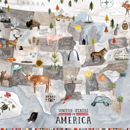 Coast to Coast by Katie Vernon : East to West Panel in Gray : Michael Miller