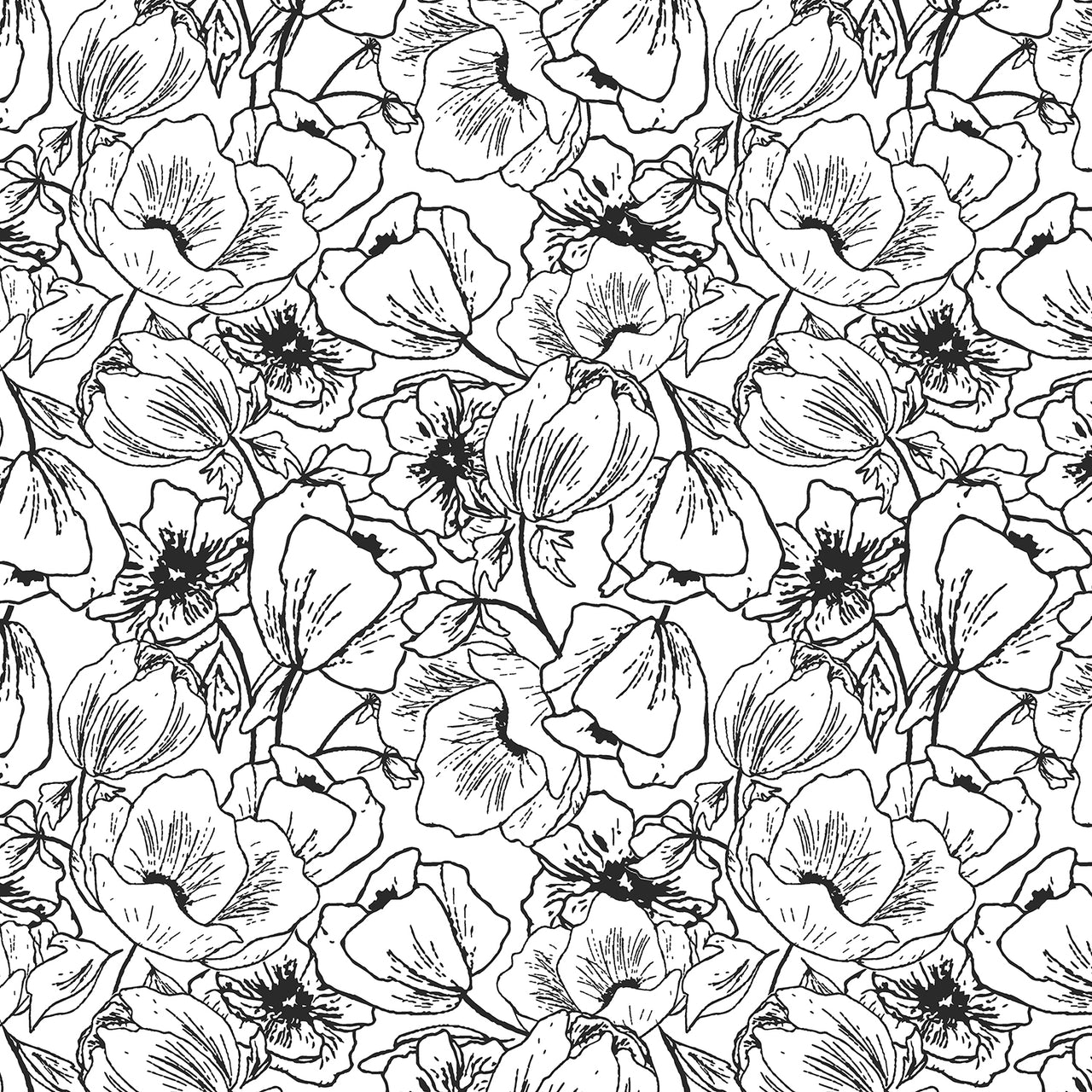 Nightfall : Anemones in Black and White : Cotton and Steel