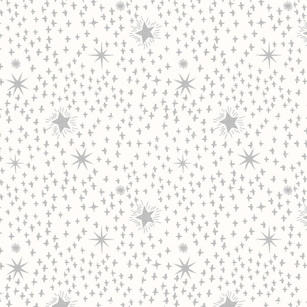 Tails From Under the Moon : Etoile in Silver Metallic : RJR Studios