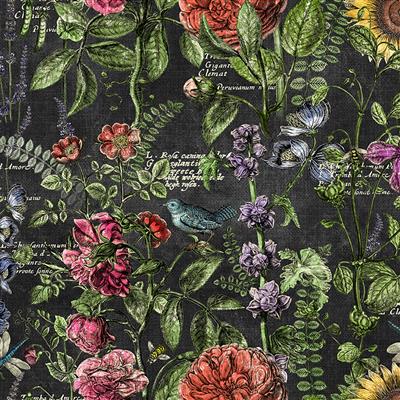 Botanical Journal by Iron Orchid Designs : Digital Drawings in Black : Clothworks